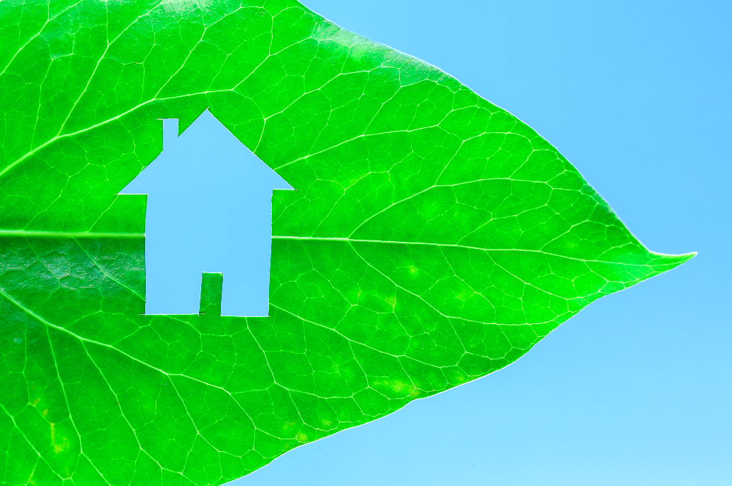 Challenge of the Month: Improve the Energy Efficiency of your Home